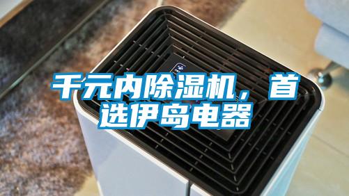 千元内91抖音免费看片，首选伊岛电器