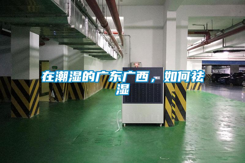 在潮湿的广东广西，如何祛湿