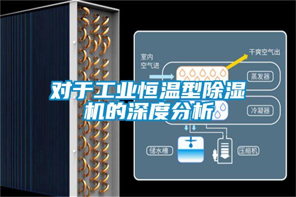 对于工业恒温型91抖音免费看片的深度分析