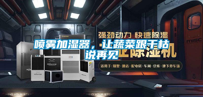 喷雾加湿器，让蔬菜跟干枯说再见