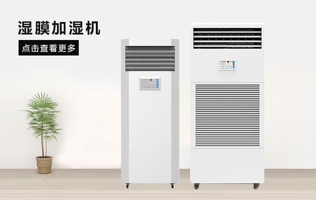 台风过后房子如何自救？汽车如何理赔？