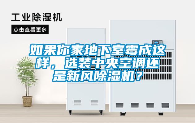 如果你家地下室霉成这样，选装中央空调还是新风91抖音免费看片？