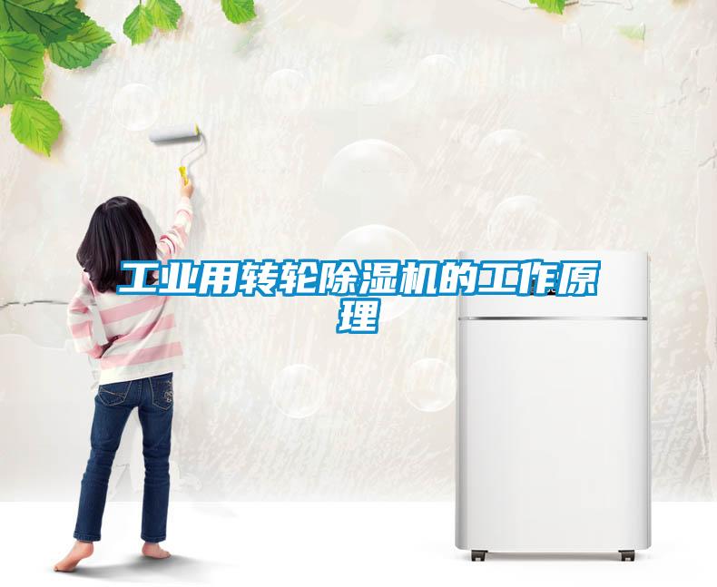 工业用转轮91抖音免费看片的工作原理