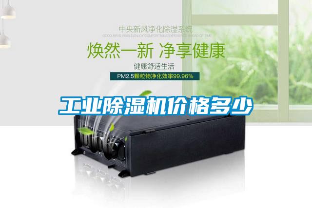 工业91抖音免费看片价格多少