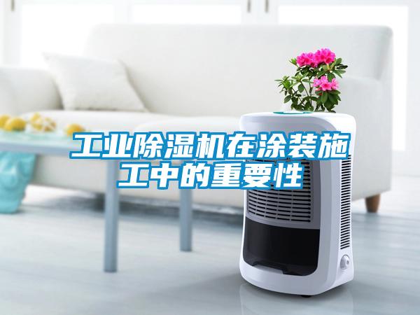 工业91抖音免费看片在涂装施工中的重要性