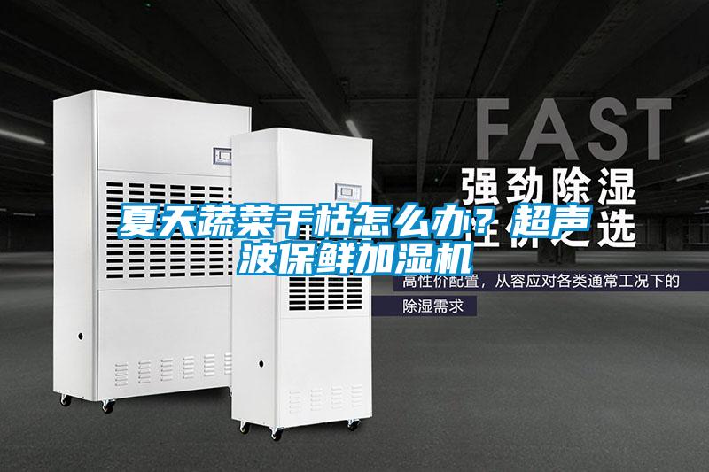 夏天蔬菜干枯怎么办？超声波保鲜加湿机