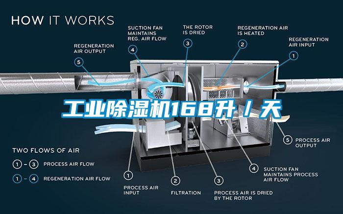工业91抖音免费看片168升／天