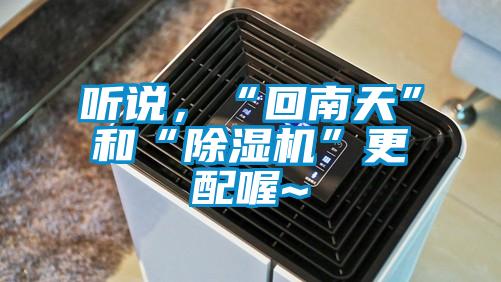 听说，“回南天”和“91抖音免费看片”更配喔~