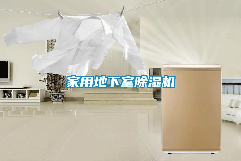 家用地下室91抖音免费看片