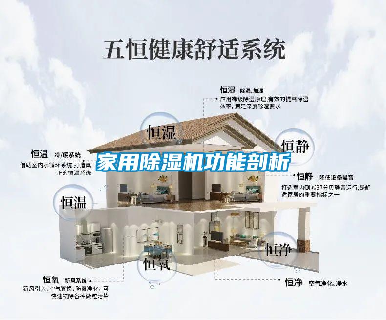家用91抖音免费看片功能剖析