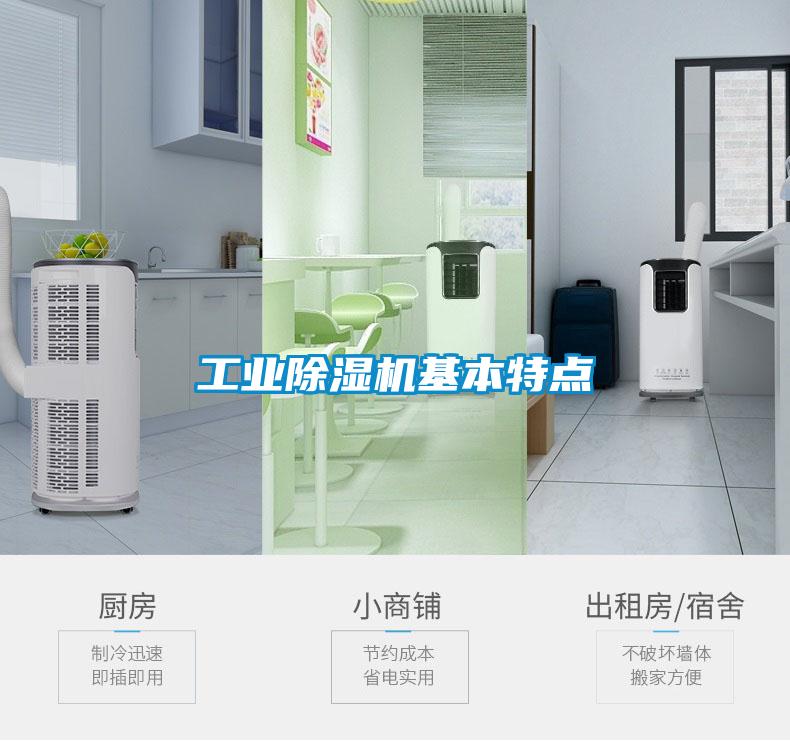 工业91抖音免费看片基本特点
