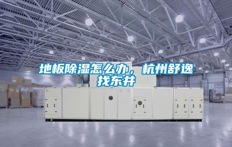 地板除湿怎么办，杭州舒逸找东井