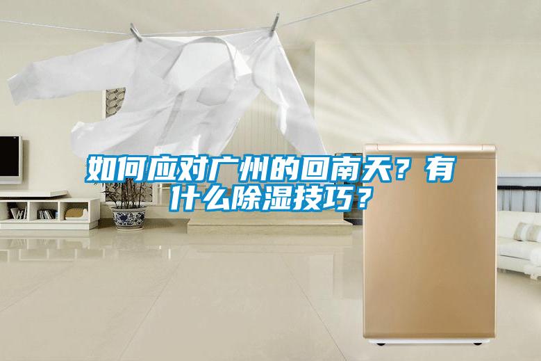 如何应对广州的回南天？有什么除湿技巧？