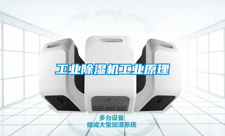 工业91抖音免费看片工业原理