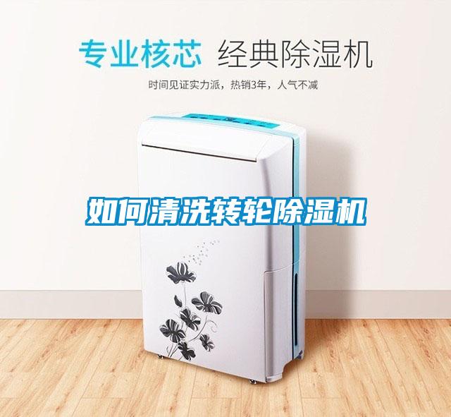 如何清洗转轮91抖音免费看片