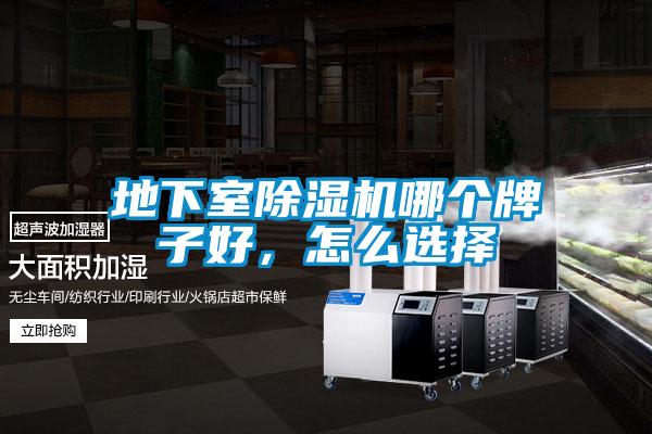 地下室91抖音免费看片哪个牌子好，怎么选择
