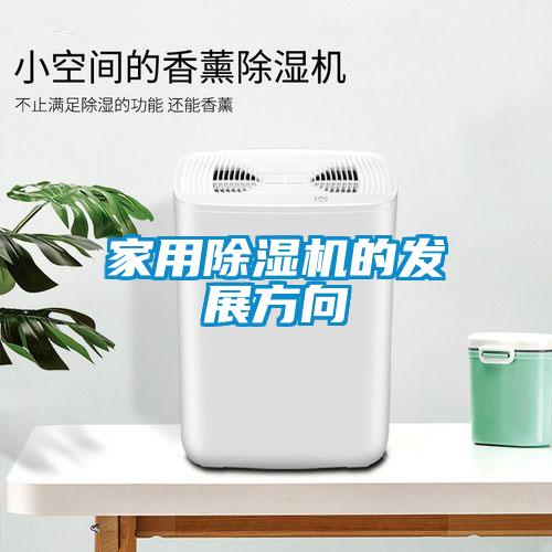 家用91抖音免费看片的发展方向