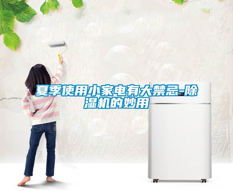 夏季使用小家电有大禁忌-91抖音免费看片的妙用