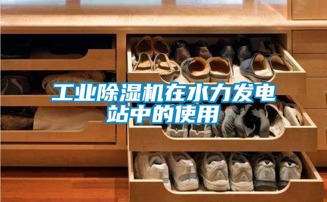 工业91抖音免费看片在水力发电站中的使用