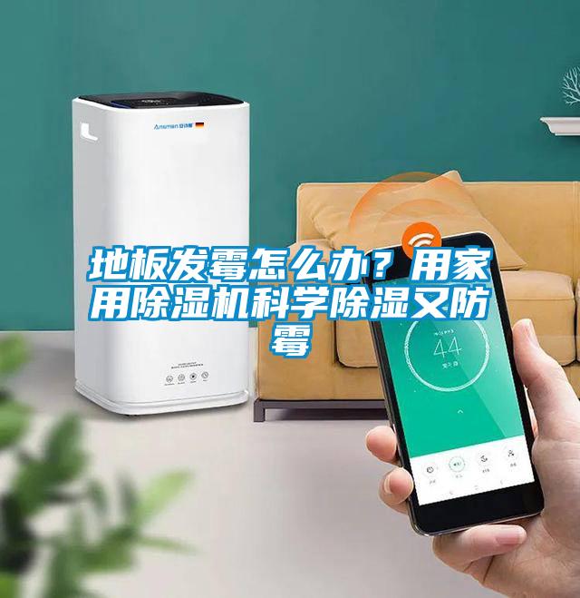 地板发霉怎么办？用家用91抖音免费看片科学除湿又防霉