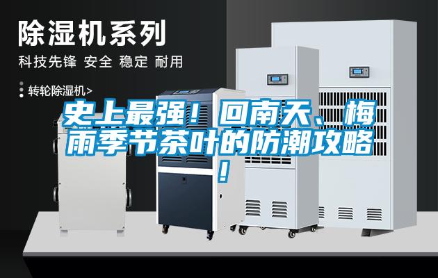 史上最强！回南天、梅雨季节茶叶的防潮攻略！