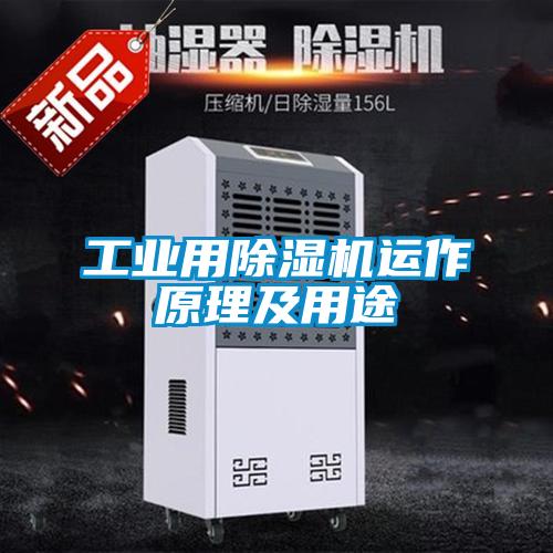 工业用91抖音免费看片运作原理及用途