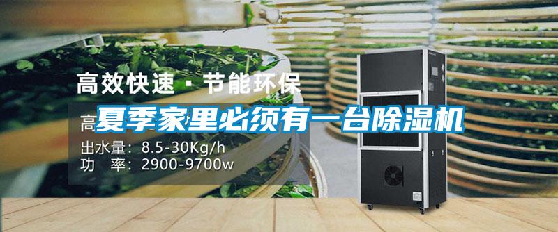 夏季家里必须有一台91抖音免费看片