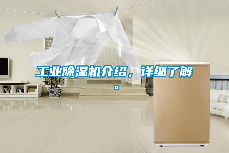 工业91抖音免费看片介绍，详细了解。