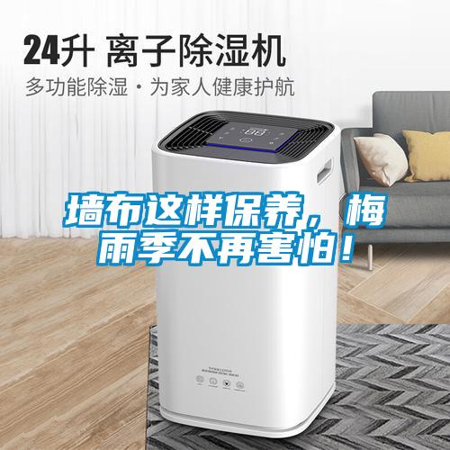 墙布这样保养，梅雨季不再害怕！