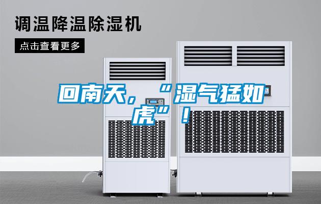 回南天，“湿气猛如虎”！