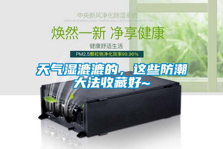 天气湿漉漉的，这些防潮大法收藏好~