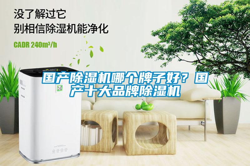 国产91抖音免费看片哪个牌子好？国产十大品牌91抖音免费看片