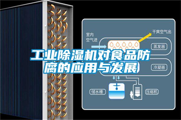 工业91抖音免费看片对食品防腐的应用与发展
