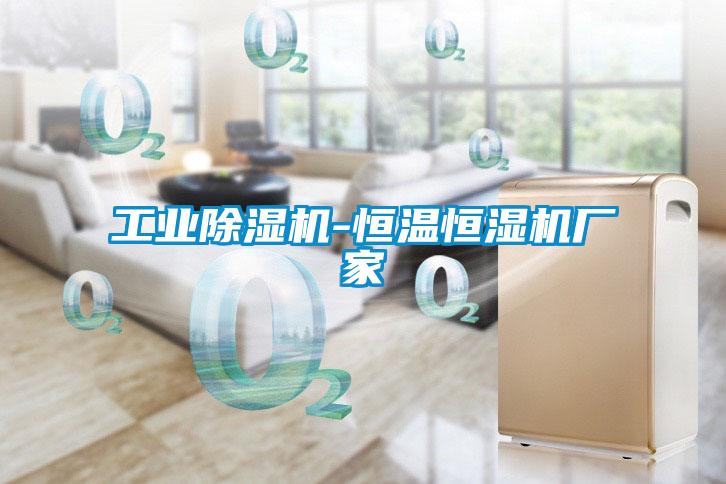 工业91抖音免费看片-恒温恒湿机厂家