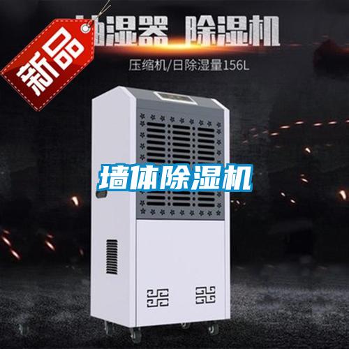 墙体91抖音免费看片