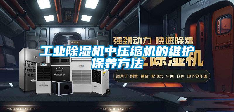 工业91抖音免费看片中压缩机的维护保养方法
