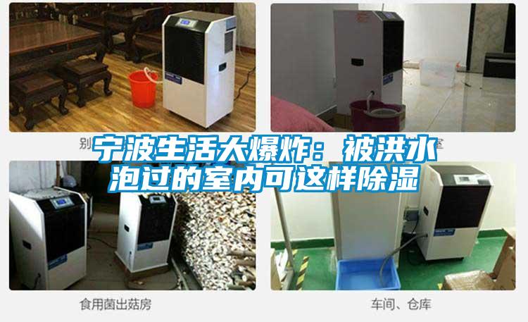 宁波生活大爆炸：被洪水泡过的室内可这样除湿