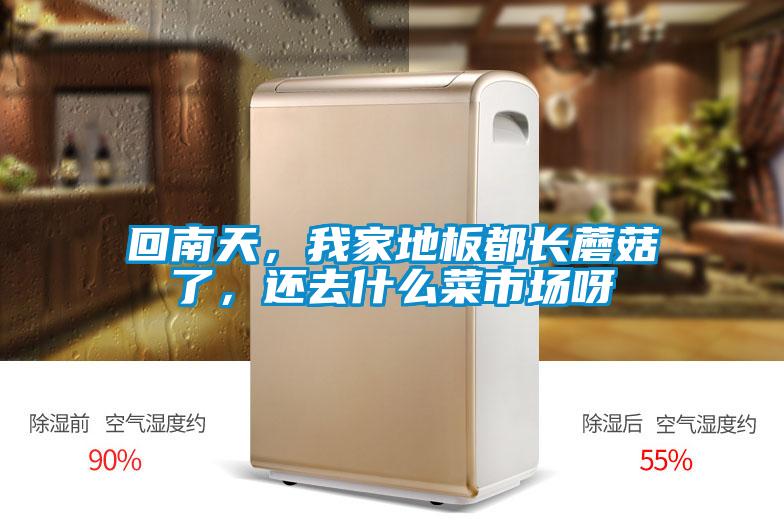 回南天，我家地板都长蘑菇了，还去什么菜市场呀