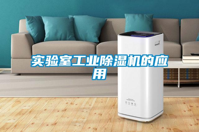 实验室工业91抖音免费看片的应用