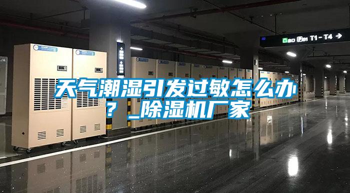 天气潮湿引发过敏怎么办？_91抖音免费看片厂家