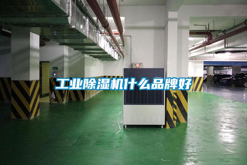 工业91抖音免费看片什么品牌好