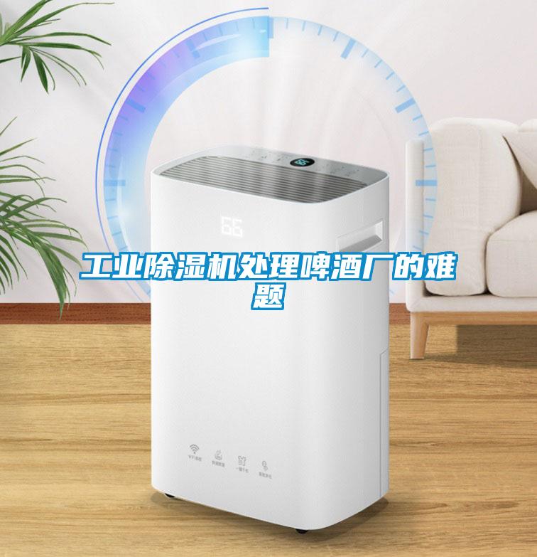 工业91抖音免费看片处理啤酒厂的难题