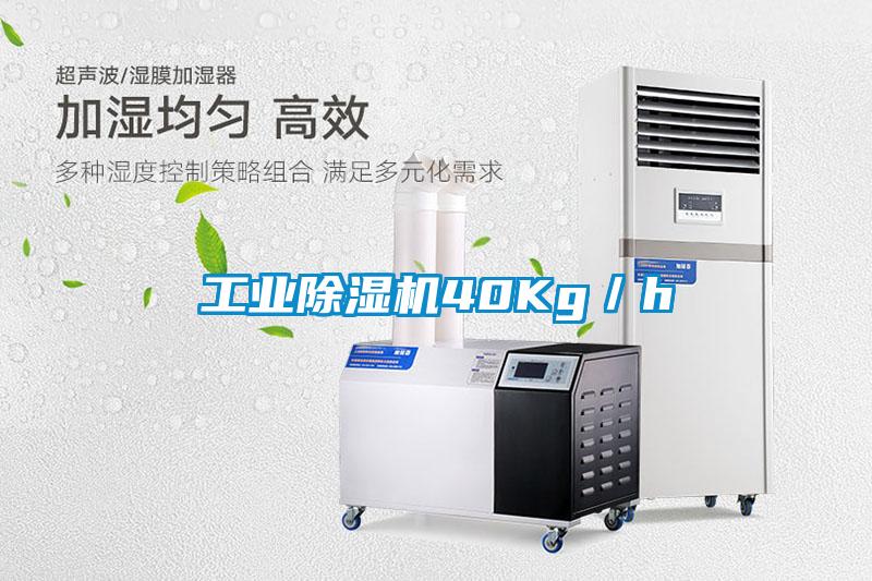 工业91抖音免费看片40Kg／h