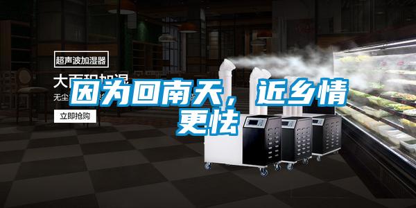 因为回南天，近乡情更怯