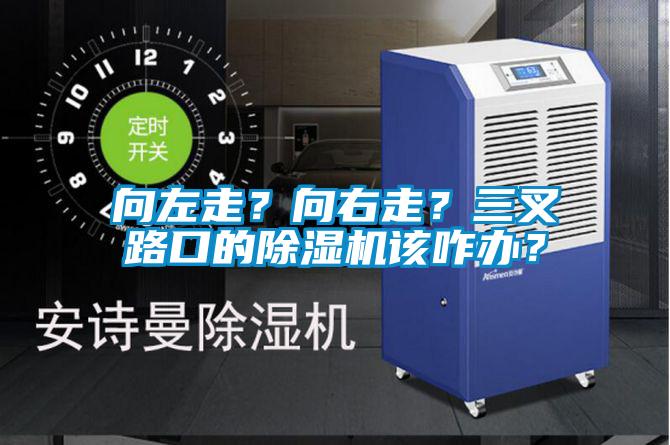 向左走？向右走？三叉路口的91抖音免费看片该咋办？