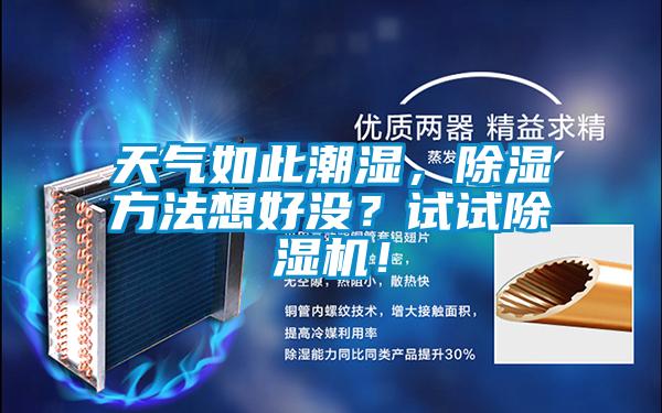 天气如此潮湿，除湿方法想好没？试试91抖音免费看片！