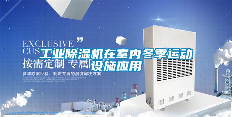 工业91抖音免费看片在室内冬季运动设施应用
