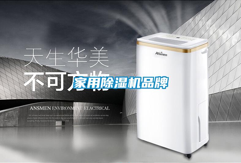 家用91抖音免费看片品牌