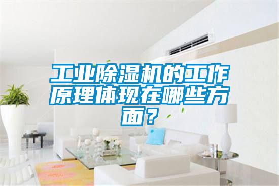 工业91抖音免费看片的工作原理体现在哪些方面？