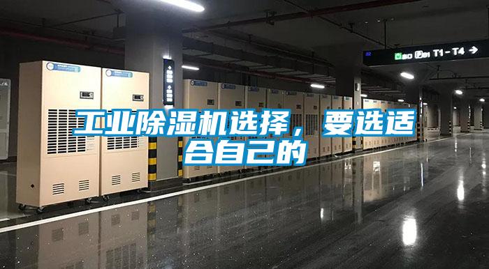 工业91抖音免费看片选择，要选适合自己的